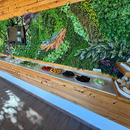 Amsterdam Boutique Hotel เกเมร์ ภายนอก รูปภาพ